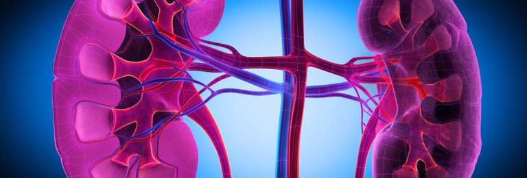 Renal failure