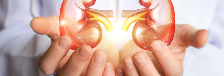 Kidney Transplant
